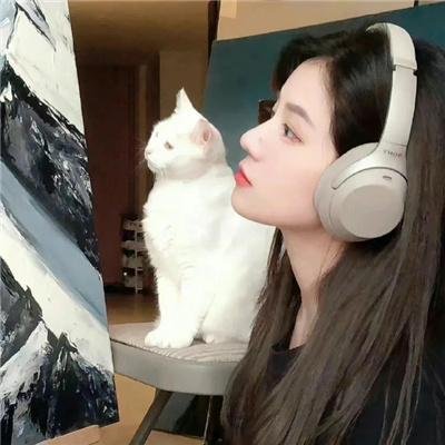 别走好吗别西君